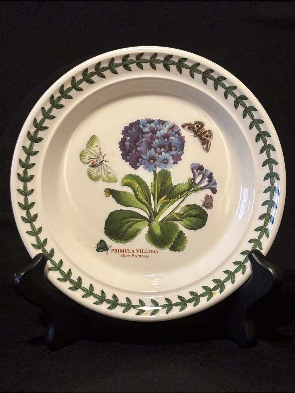 Portmeirion Botanic Garden Primula Villosa 7” Side Plate